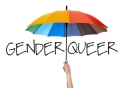 gender-queer-from-slate-page